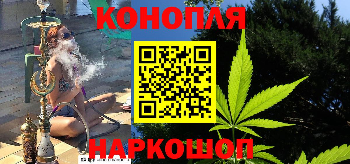 Канабис AK-47 Дагестанские Огни
